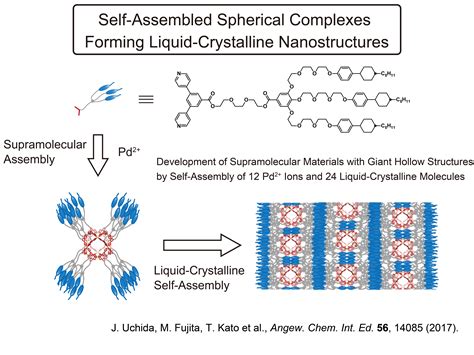  Liquid Crystalline Polymers:  Yeni Nesil Malzemeler İçin Bir Devrim mi?