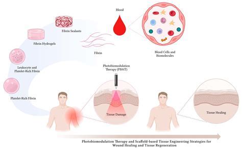 Fibrinogen: Yara İyileşmesini Hızlandıran Biyolojik Malzeme