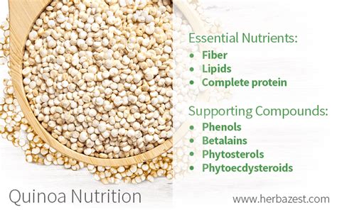  Quinoa Protein: Bir Sürdürülebilir ve Besleyici Alternatif Mi?