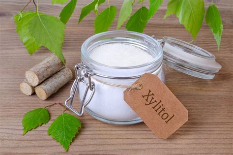  Xylitol Üretimi ve Uygulamaları: Gıda Endüstrisine Tatlı Bir Alternatif!